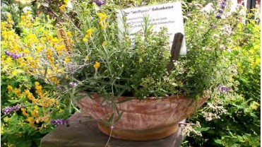 Blumen